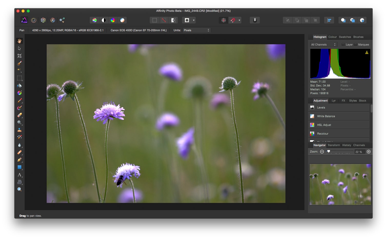 affinity photo photoshop