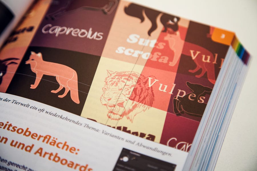 Affinity Designer Buch